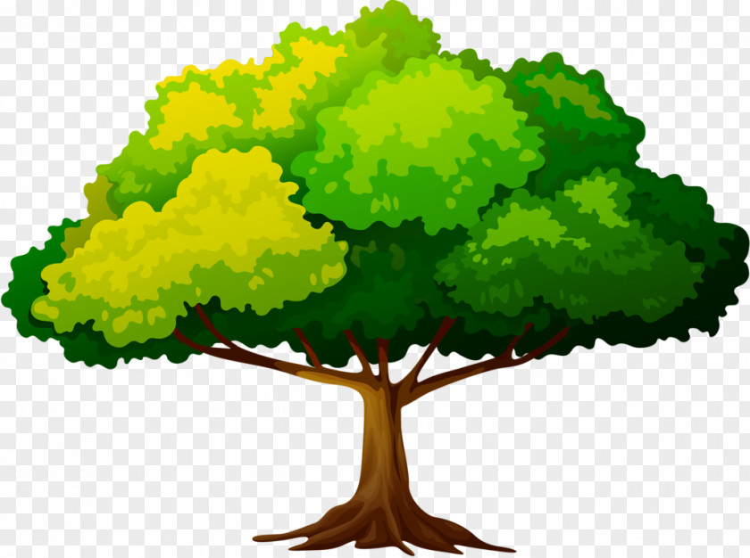 Tree Clip Art Branch Trunk Leaf PNG