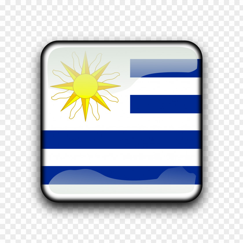 Usa Flag Of Uruguay Brazil State Constitution PNG