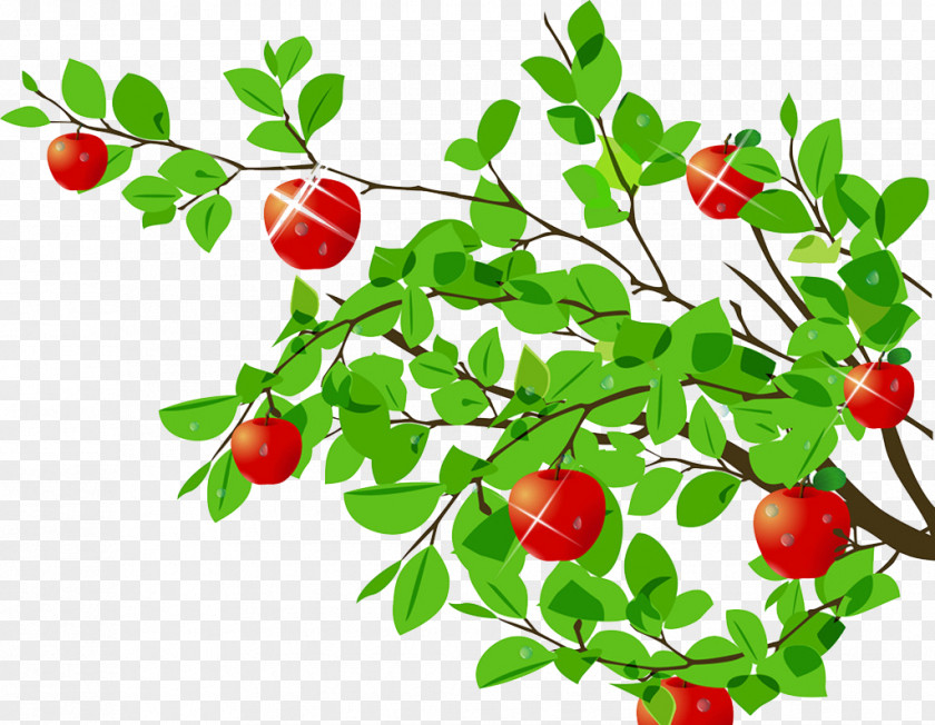 Beautiful Apple Tree Cartoon PNG