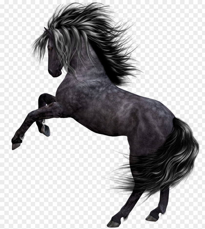 Dark Horse Mustang Akhal-Teke Pony Horses PNG