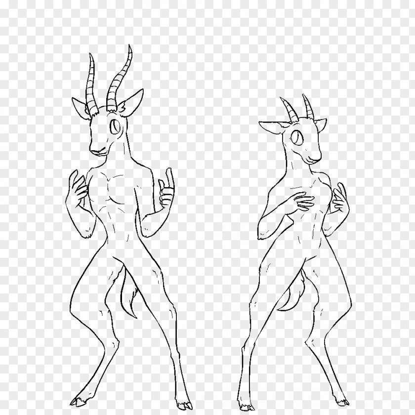 Gazelle Reindeer Drawing Line Art PNG