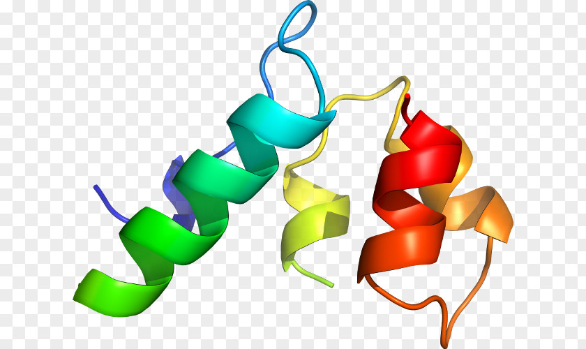 P24 Capsid Protein Clip Art Line PNG