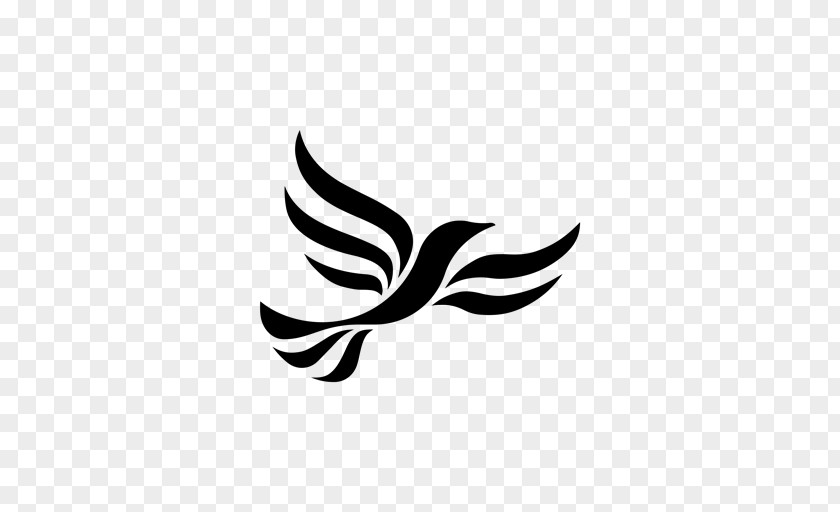Portsmouth Liberal Democrats Party Leader Of The Liberalism PNG