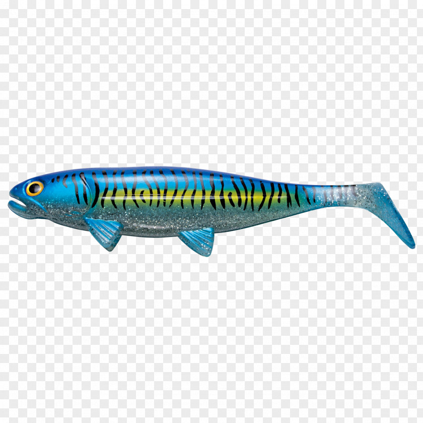 Sardine Fiskedags.nu Oily Fish Mackerel PNG