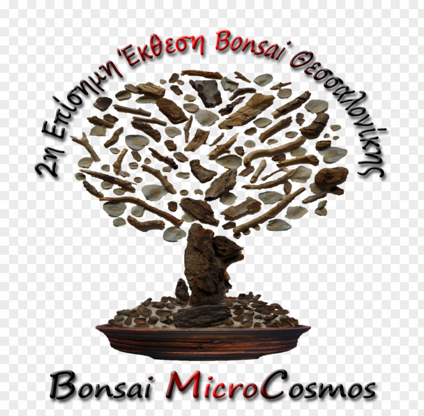 Tree Bonsai Photography Technology Blog PNG