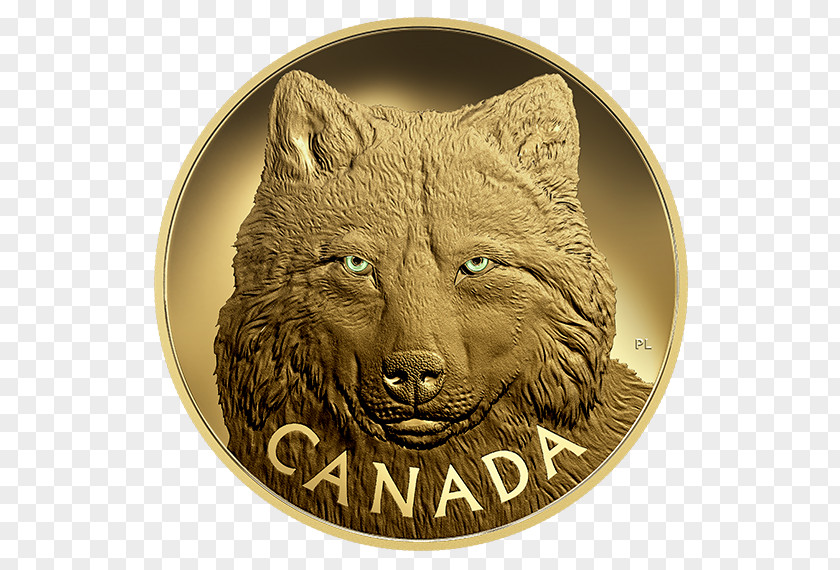 Wolf Eyes Gray Silver Coin Gold PNG