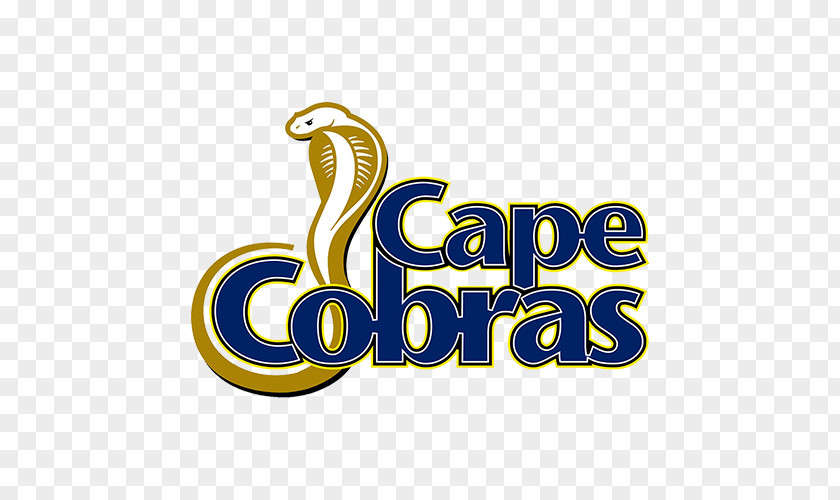 Cricket Team Cape Cobras Titans 2017–18 Ram Slam T20 Challenge Dolphins Warriors PNG