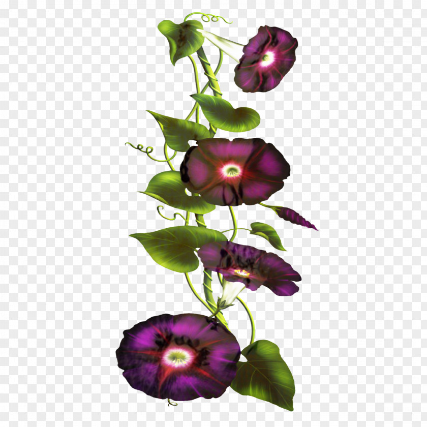 Cut Flowers Floral Design Petal PNG