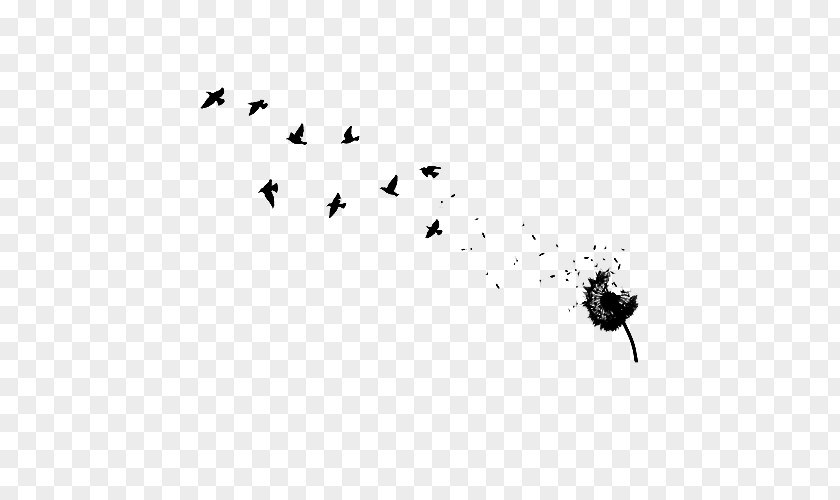 Flock Abziehtattoo Dandelion Bird Flash PNG