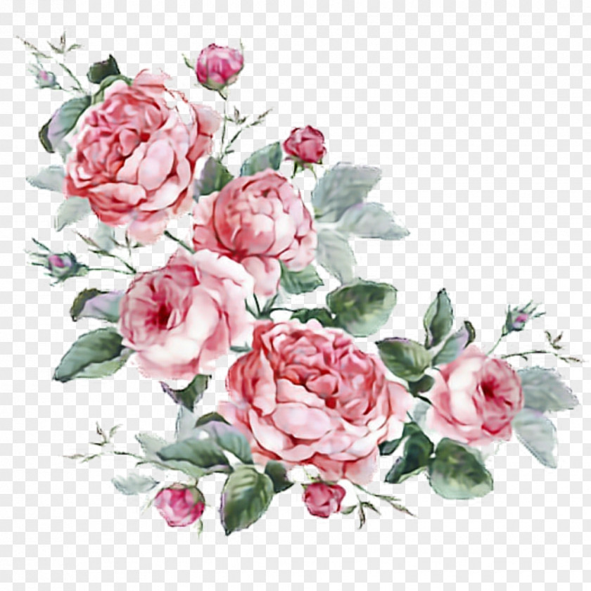 Flower Floral Design Stock Photography Drawing PNG