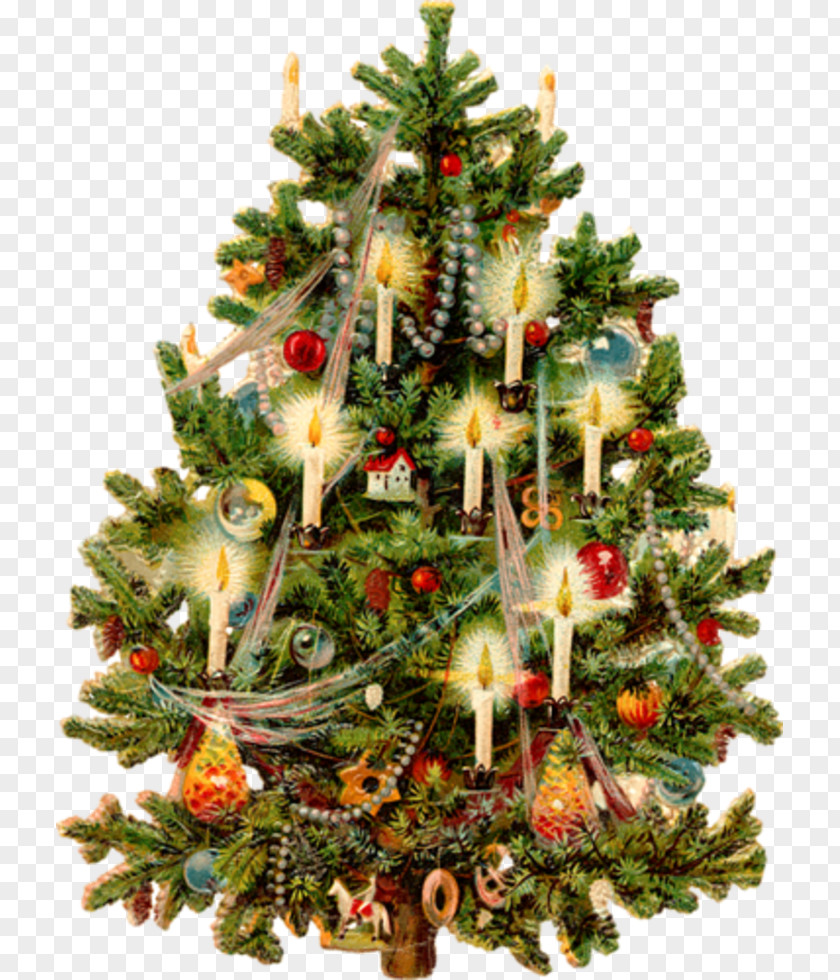 Christmas Tree Victorian Era Clip Art PNG