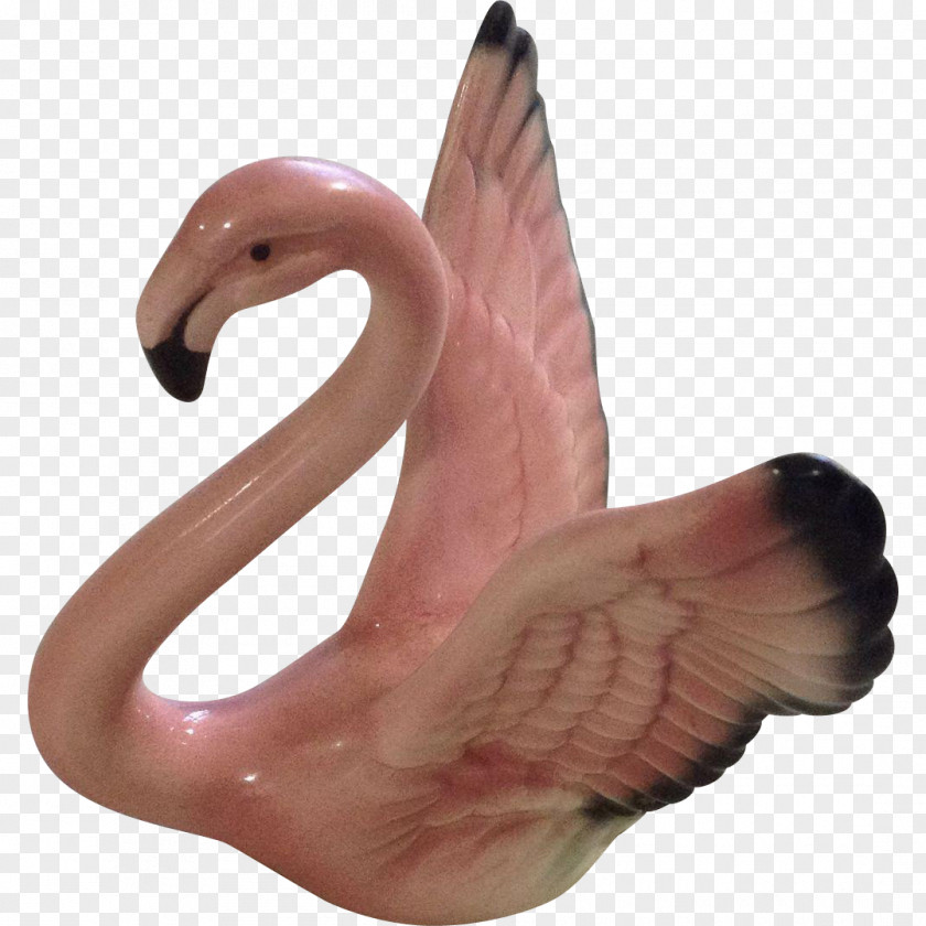 Flamingo Water Bird Beak Figurine Organism PNG