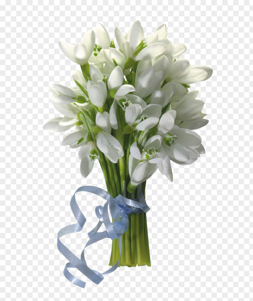 Flower Bouquet Cut Flowers Desktop Wallpaper Bulb PNG