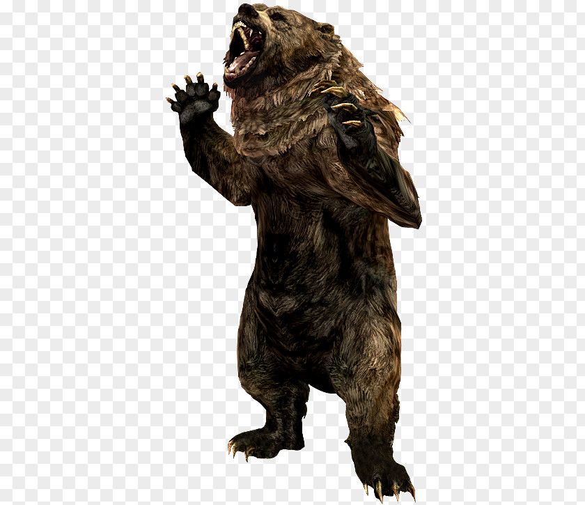 Skyrim Grizzly Bear The Elder Scrolls V: – Dragonborn Cave Animal Alaska Peninsula Brown PNG