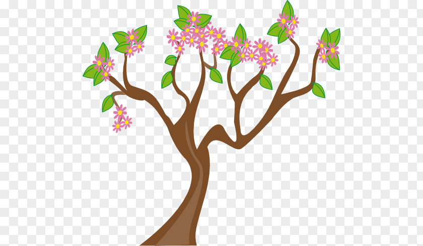 Spring Public Domain Tree Clip Art PNG