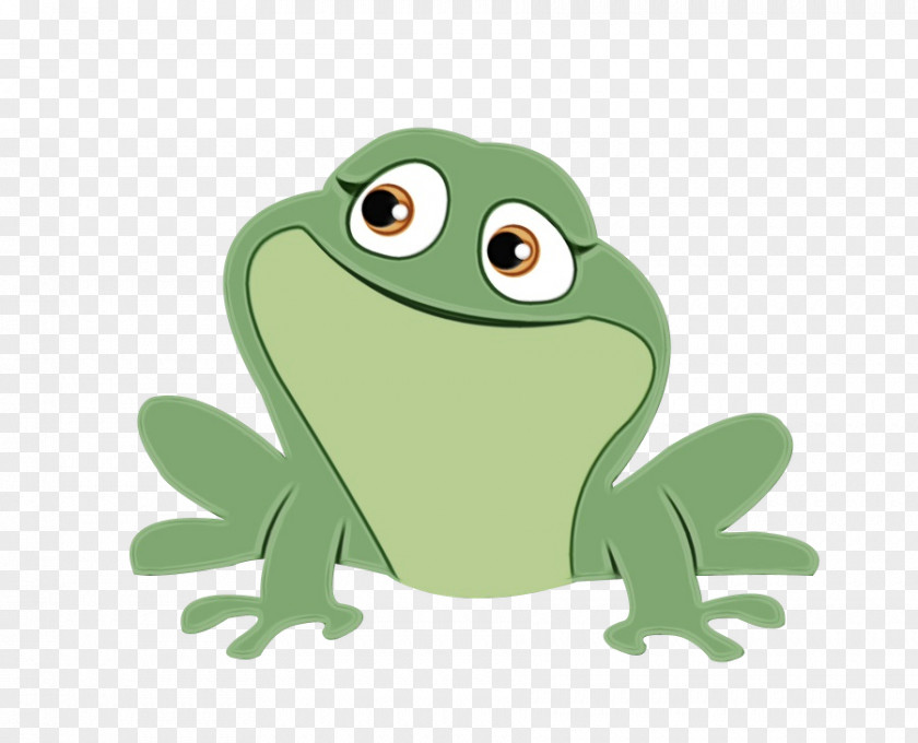 Toad Tree Frog Green True Hyla Cartoon PNG