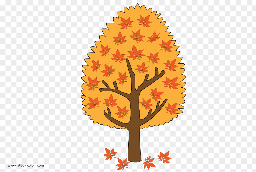 Tree Sweet Chestnut Autumn Drawing Raster Graphics PNG