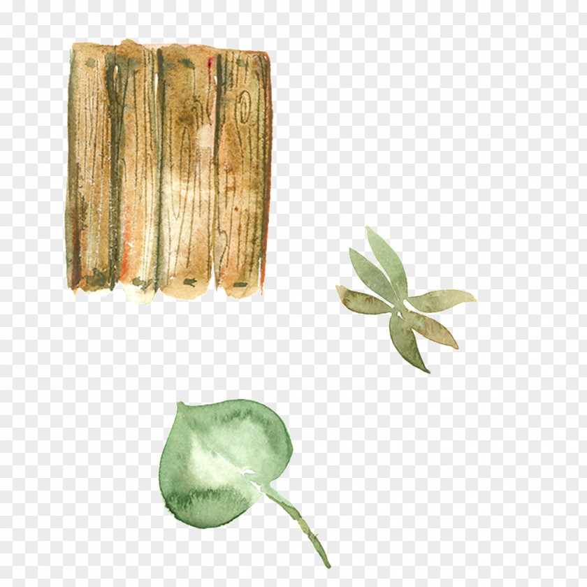 Wood And Leaves Download PNG