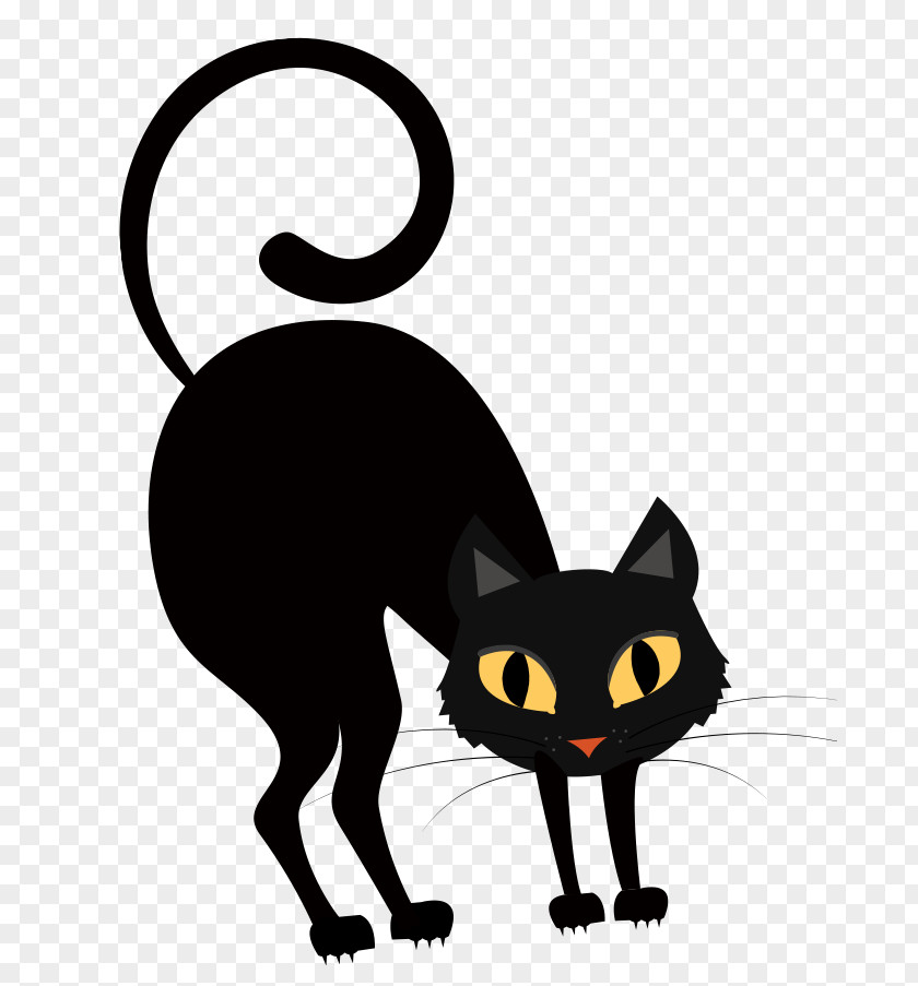 A Little Horror Dark Night Black Cat PNG