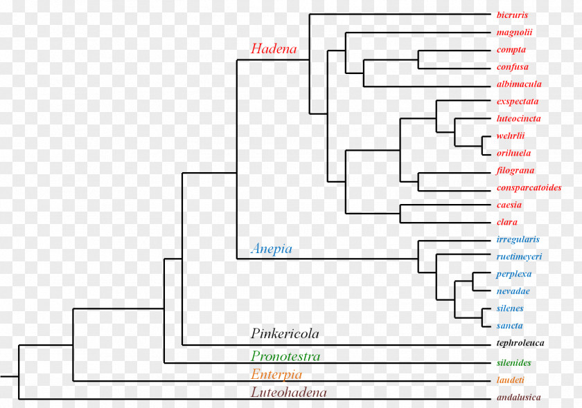 Design Document Line Floor Plan PNG