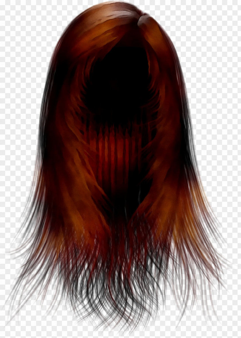 Long Hair Coloring Brown PNG