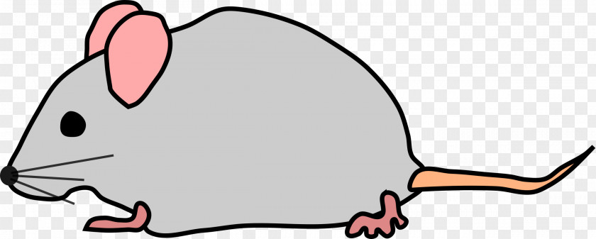 Mouse Computer Mighty Clip Art PNG
