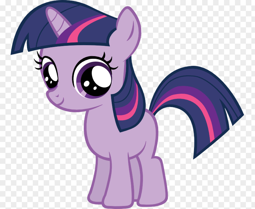 My Little Pony Twilight Sparkle Applejack Derpy Hooves Rainbow Dash PNG