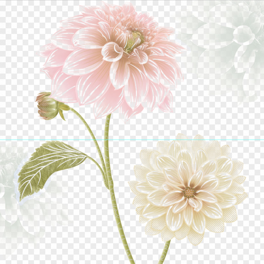 Peony Dahlia Moutan PNG