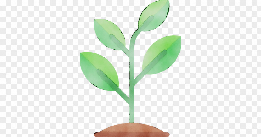 Plant Stem Leaf Branching Plants PNG