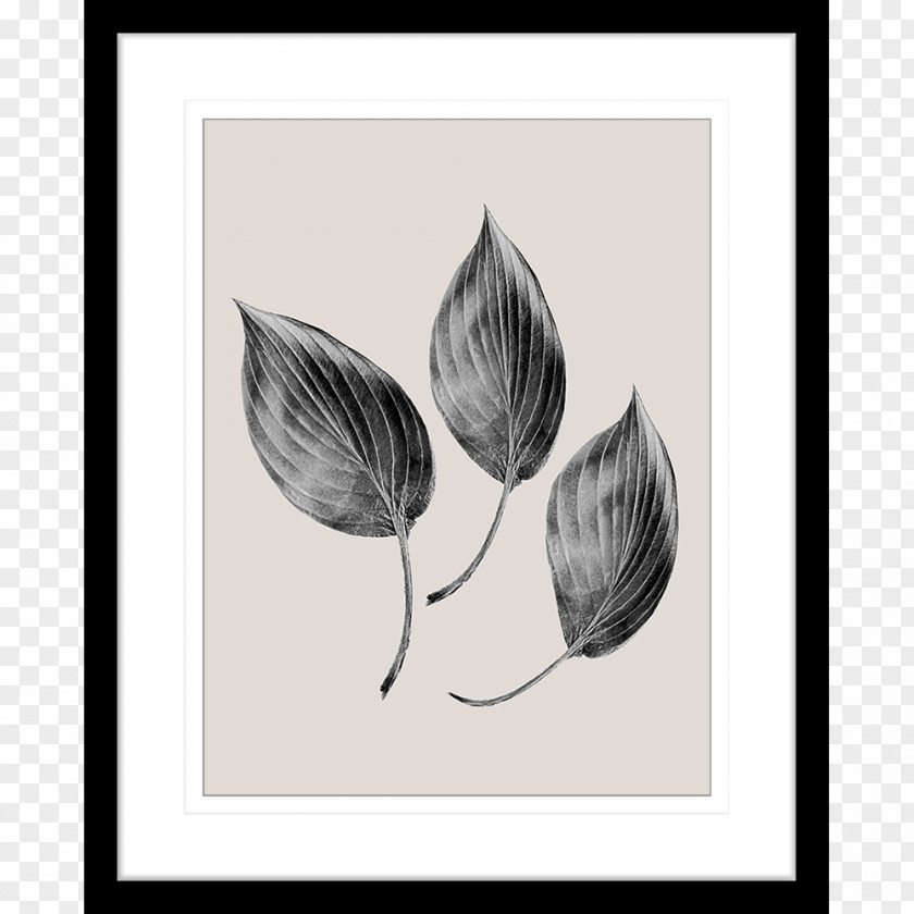 Leaf Watercolor Painting Drawing Petal Visual Arts PNG