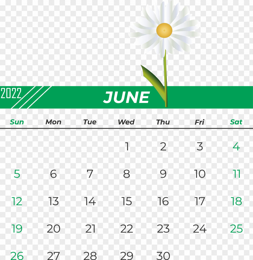 Logo Font Line Calendar Green PNG