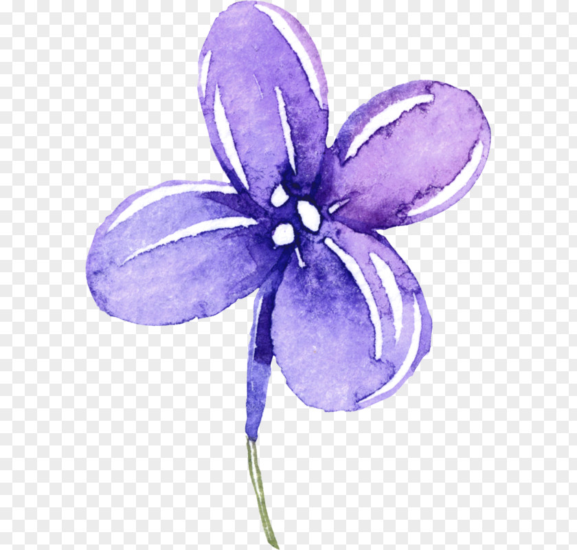 Purple Flowers Bunny Clip Art Image Vector Graphics Violet PNG