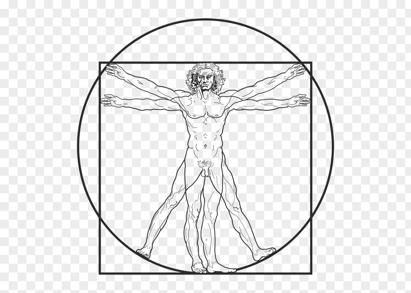 Vitruvian Man Royalty-free Proportion PNG