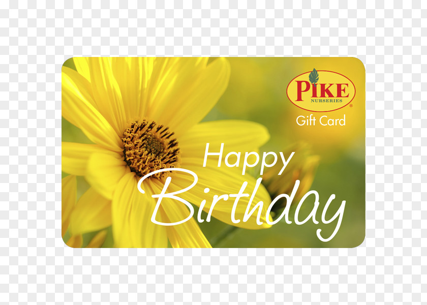Card Happy Nursery Pike Nurseries Acquisition, LLC Garden Centre Sunflower M PNG