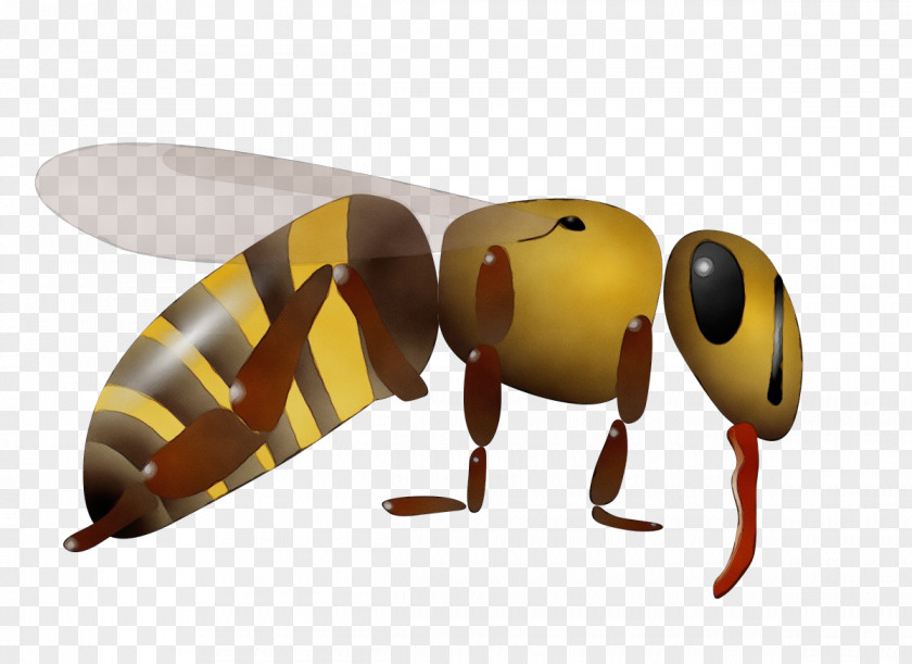 Carpenter Bee Animation Ant Cartoon PNG