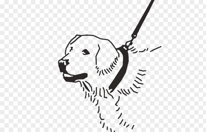 Collares Graphic Dog Breed Drawing Puppy Painting PNG