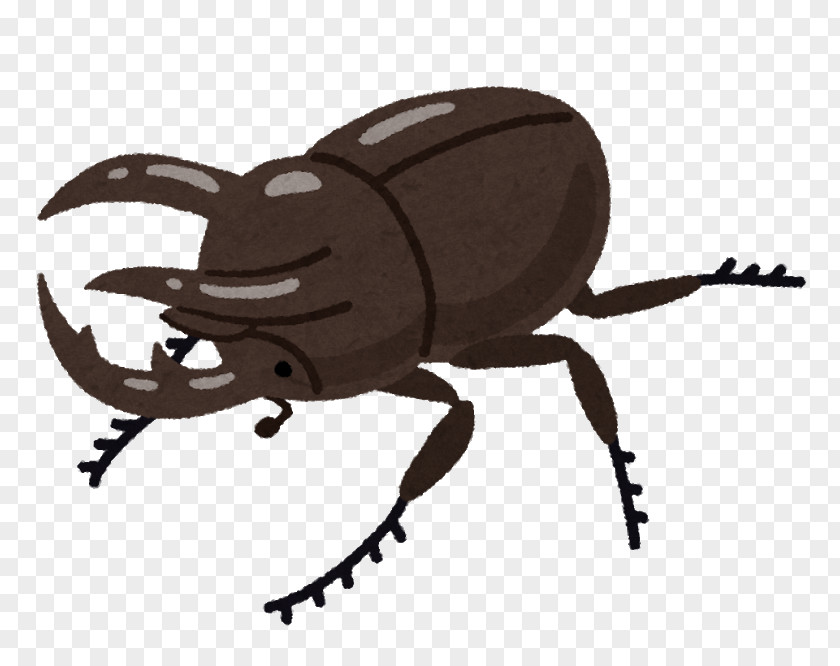 Insect Scarabs Japanese Rhinoceros Beetle Chalcosoma Caucasus Hercules Idol PNG