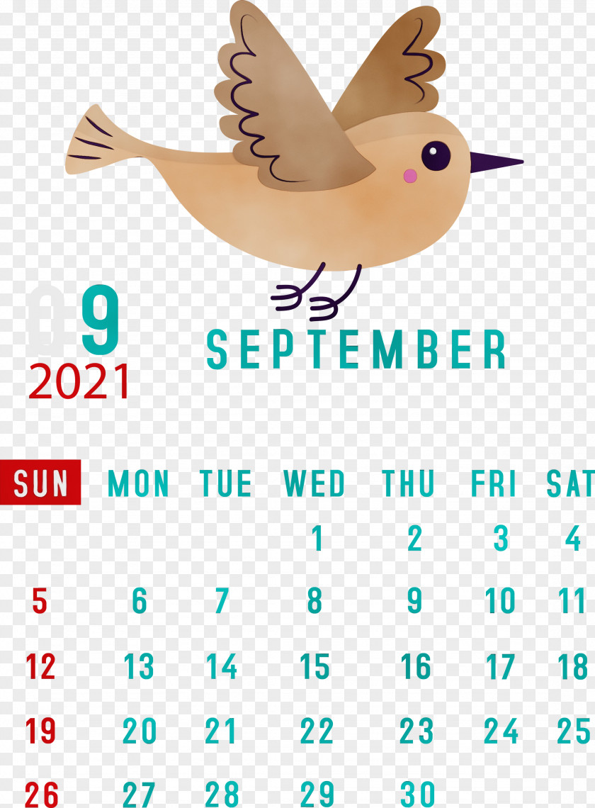 Line Meter Beak Calendar System Science PNG