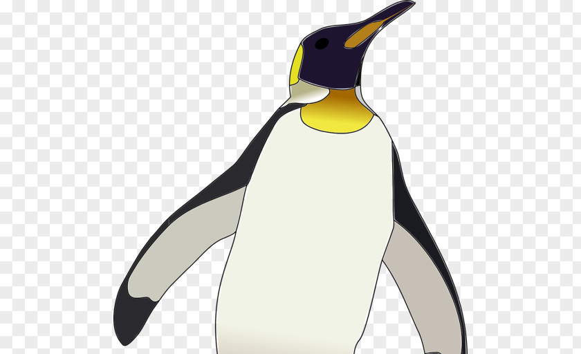 Penguin Emperor Antarctica Bird King PNG