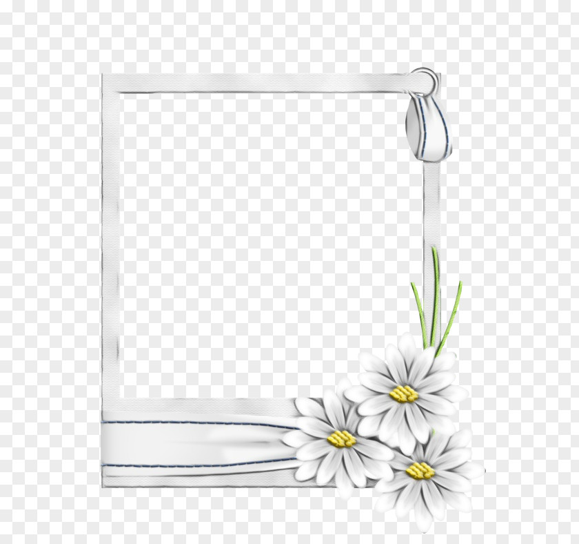 Picture Frame PNG