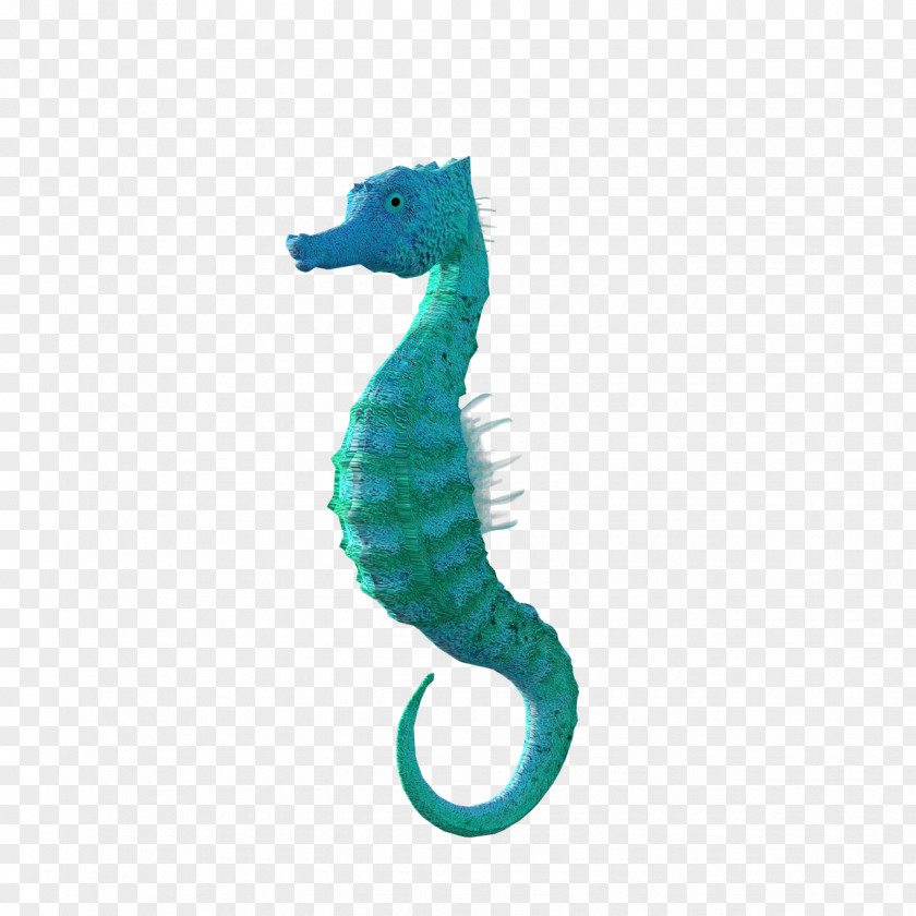 Seahorse Image Animal Video PNG