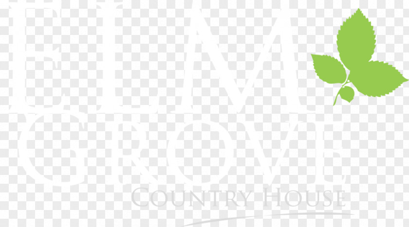 Tree-lined Logo Brand Desktop Wallpaper PNG
