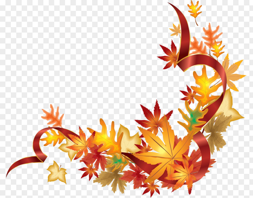 Autumn Leaf Color PNG