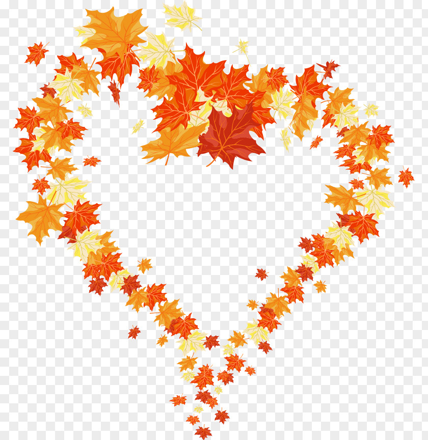 Autumn Leaves Heart Leaf Color PNG