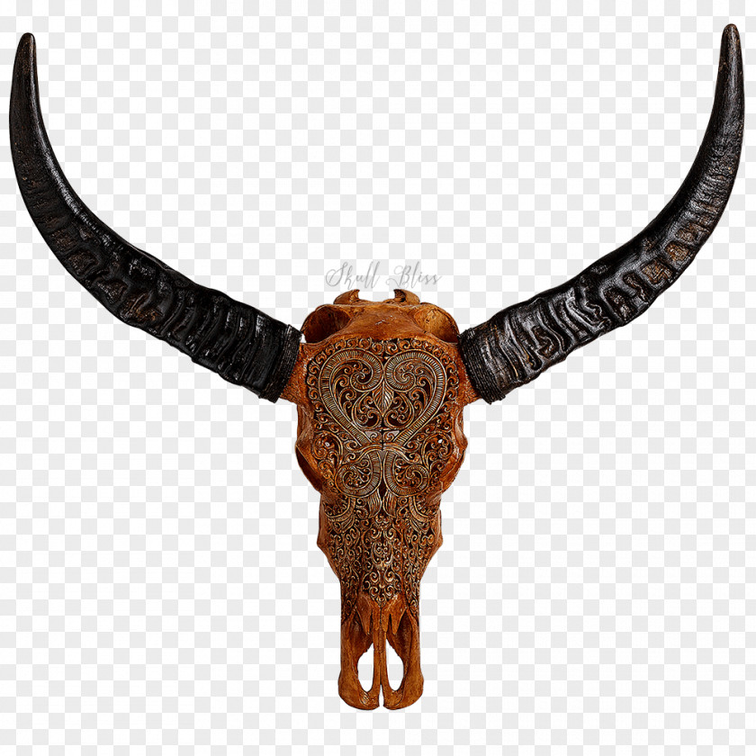 Buffalo Skull Horn Animal Skulls Antique Carving PNG