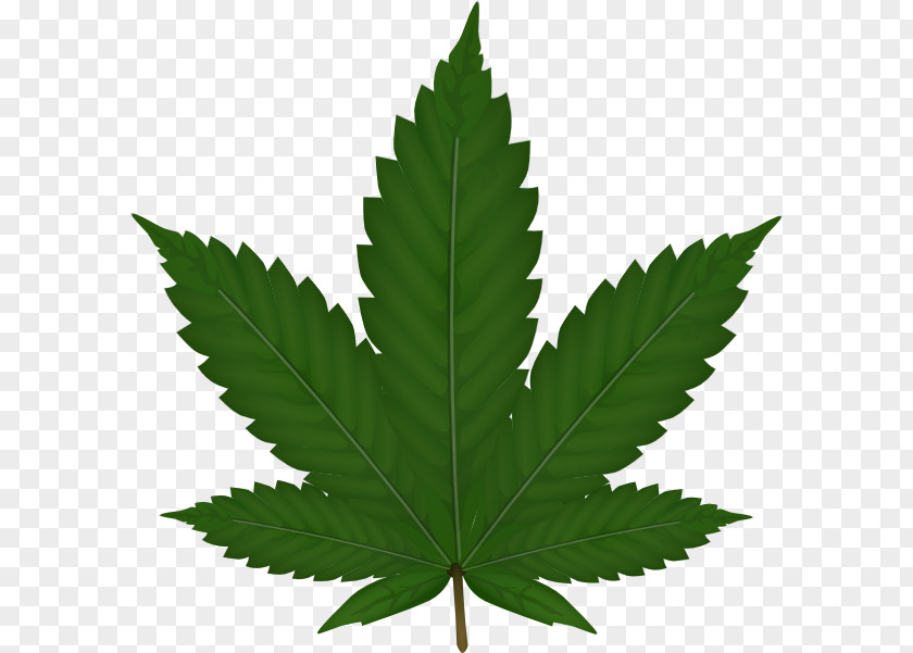 Marijuana Cannabis Clip Art PNG