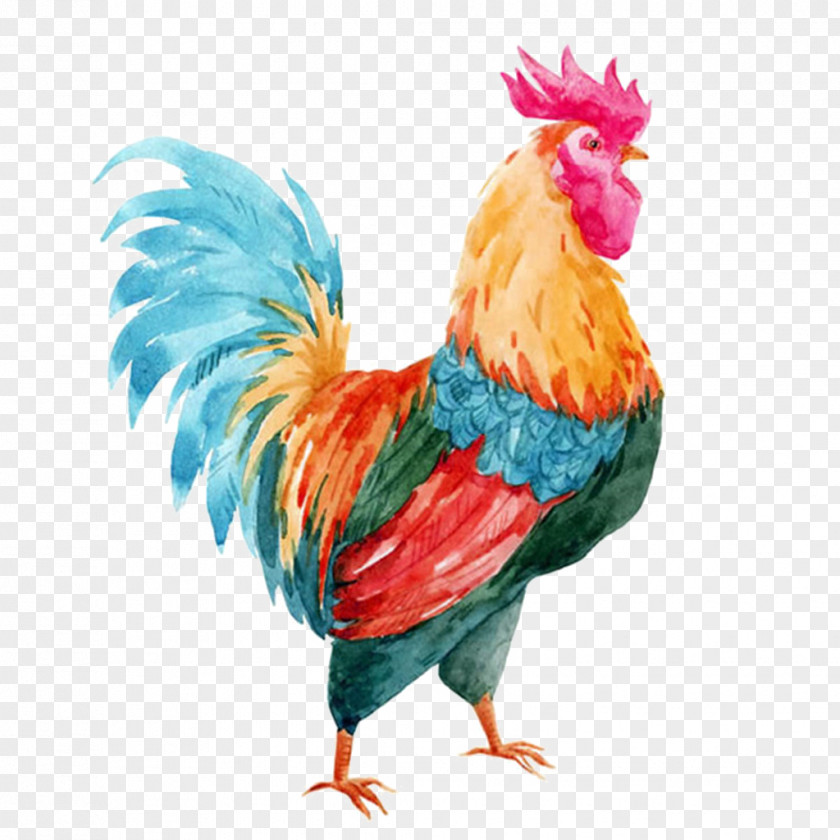 Stained Water Cock PNG