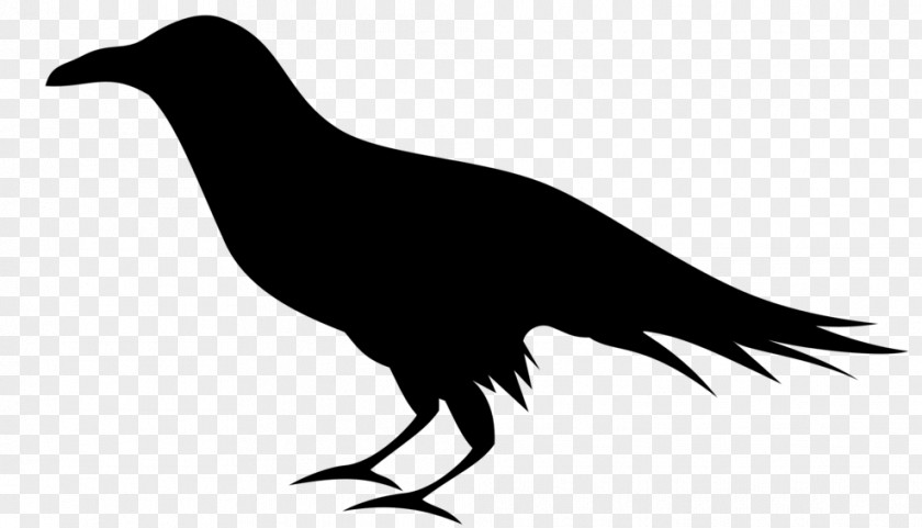 Crowlike Bird Beak Silhouette PNG