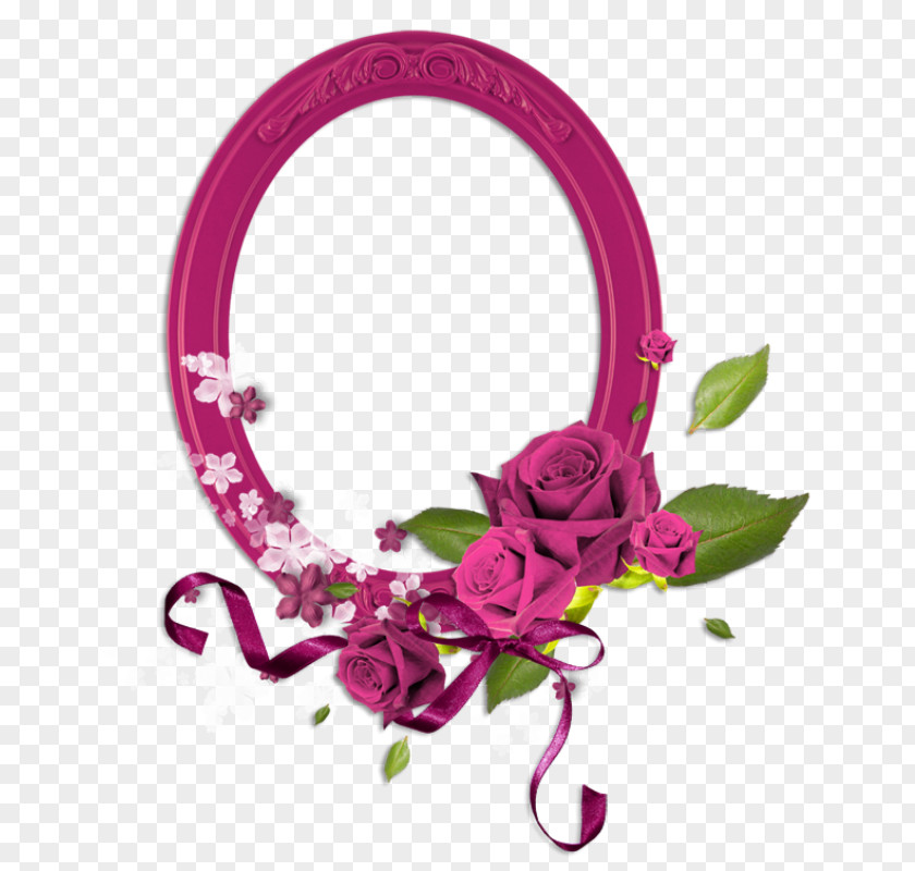 Cyclamen Picture Frames Image Floral Design Flower PNG