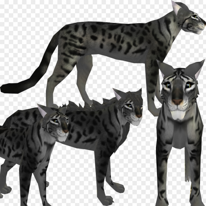 Dog Bengal Cat Feral Felidae Black PNG